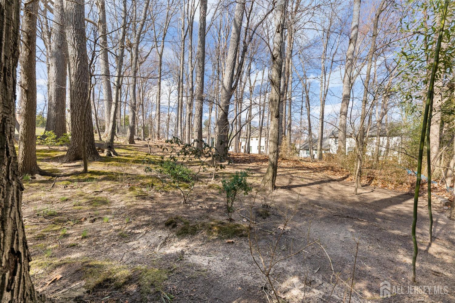 1 Cherokee Road East Brunswick, NJ 08816 - Photo 56 of 66 Gallery Image 56