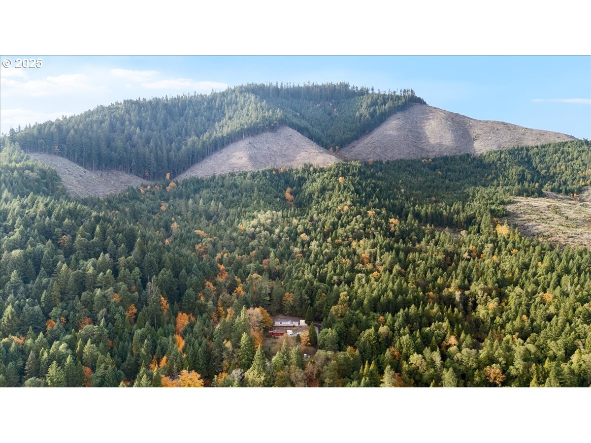 2358 Upper Cow Creek Road Azalea, OR 97410 - Photo 30 of 33