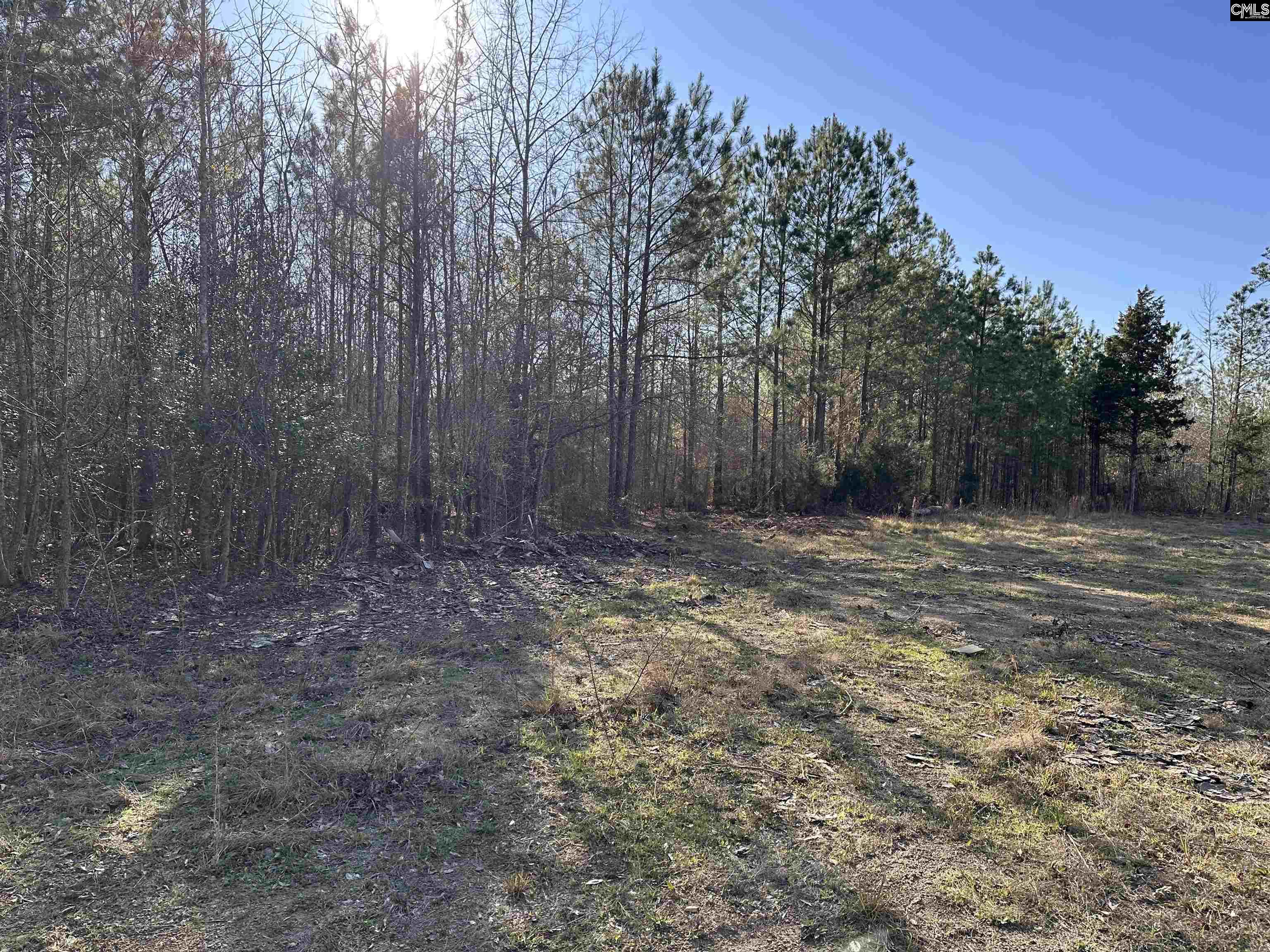 495 State Rd S-28-303 Ridgeway, SC 29130 - Photo 6 of 9