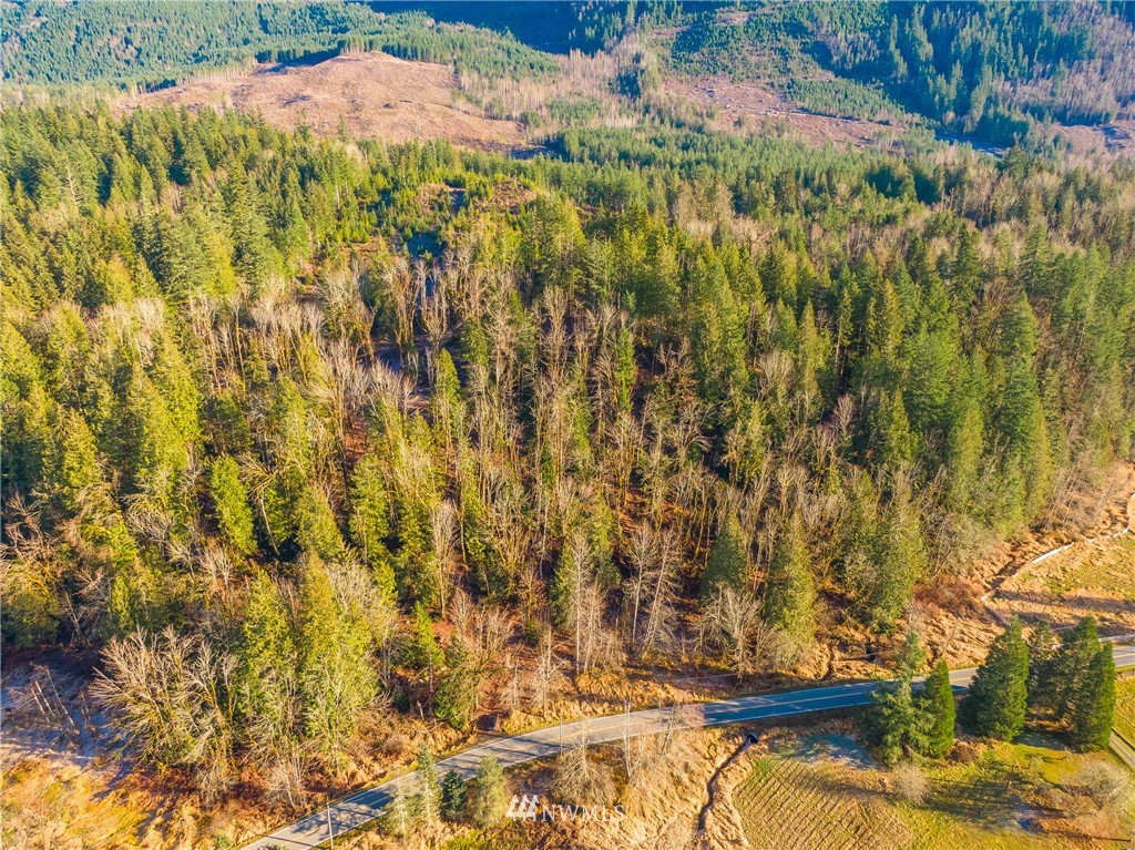 0 Mosquito Lake Road Deming, WA 98244 - Photo 2 of 22