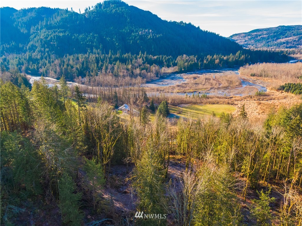0 Mosquito Lake Road Deming, WA 98244 - Photo 11 of 22