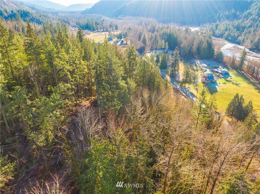 0 Mosquito Lake Road Deming, WA 98244 - Photo 15 of 22