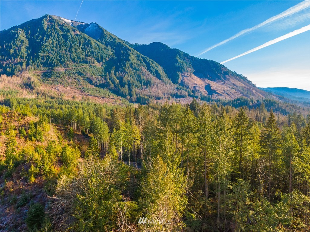 0 Mosquito Lake Road Deming, WA 98244 - Photo 17 of 22