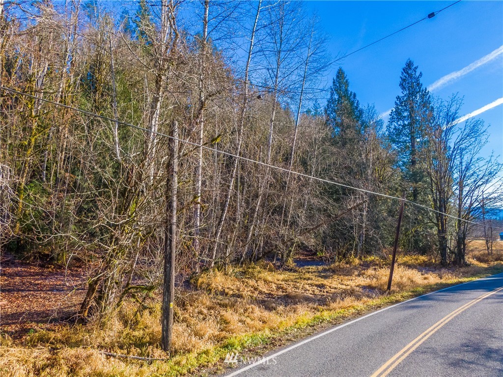 0 Mosquito Lake Road Deming, WA 98244 - Photo 20 of 22