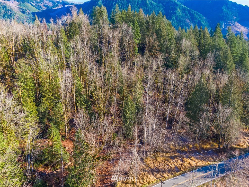 0 Mosquito Lake Road Deming, WA 98244 - Photo 3 of 22