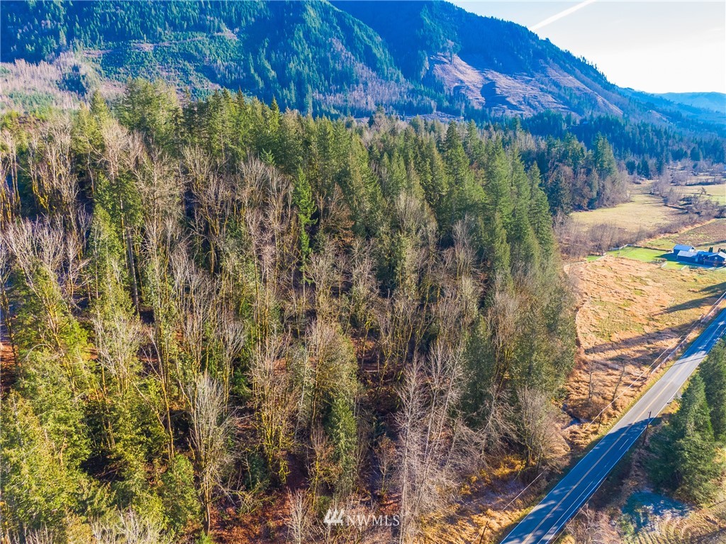 0 Mosquito Lake Road Deming, WA 98244 - Photo 4 of 22