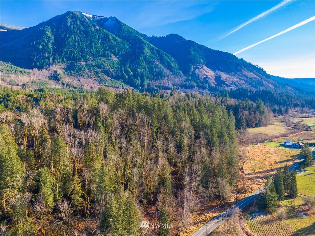 0 Mosquito Lake Road Deming, WA 98244 - Photo 5 of 22