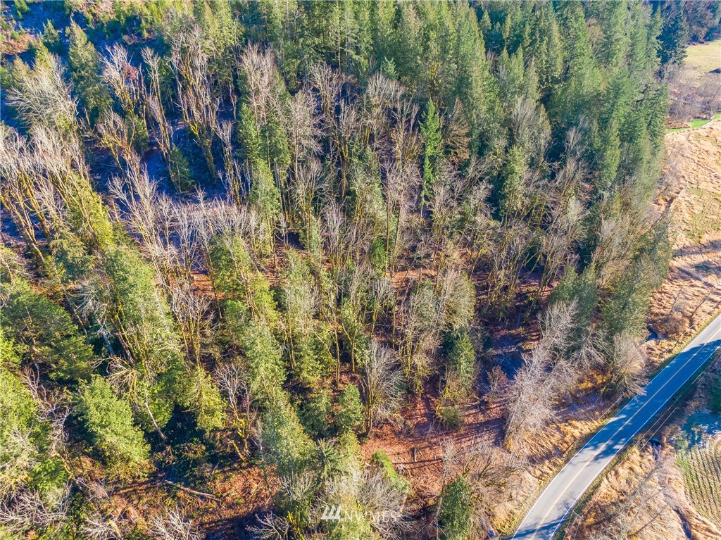 0 Mosquito Lake Road Deming, WA 98244 - Photo 9 of 22