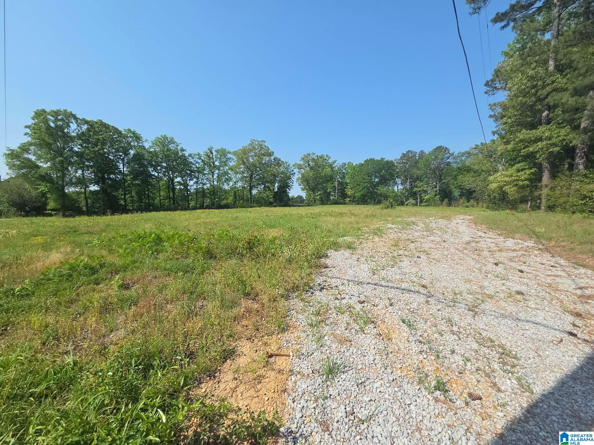 10997 Vance Blocton Road Vance, AL 35490 - Photo 2 of 5