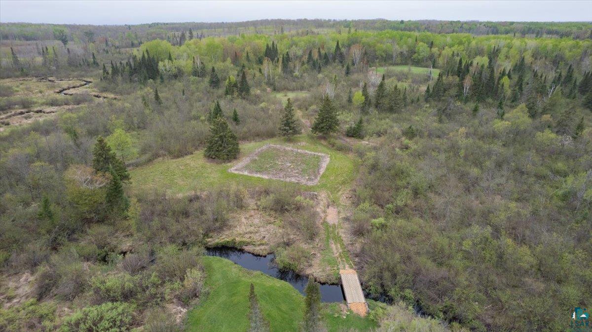 5190 County Road M Gordon, WI 54838 - Photo 3 of 31 Expansive wooded land featuring a cleared building site, a meandering stream, a wooden bridge, and a natural, varied tree canopy