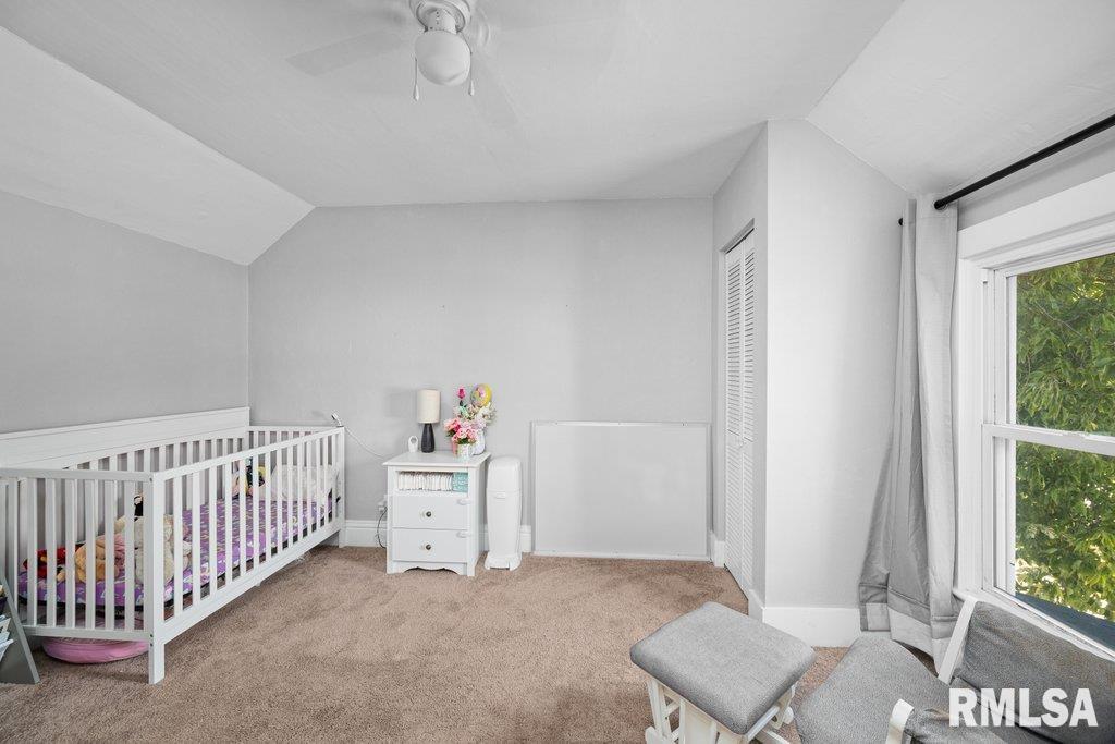 709 Edgington Street Reynolds, IL 61279 - Photo 15 of 28 Gallery Image 15