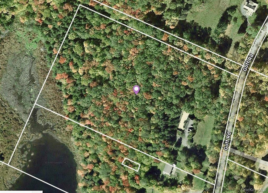 285 Goff Road Livingston Manor, NY 12758 - Photo 24 of 24 Aerial view of property'slocation with propertyboundaries highlighted