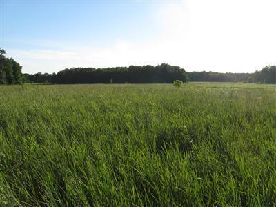 1 10 10 Mile Road Ceresco, MI 49033 - Photo 1 of 4 Primary Photo