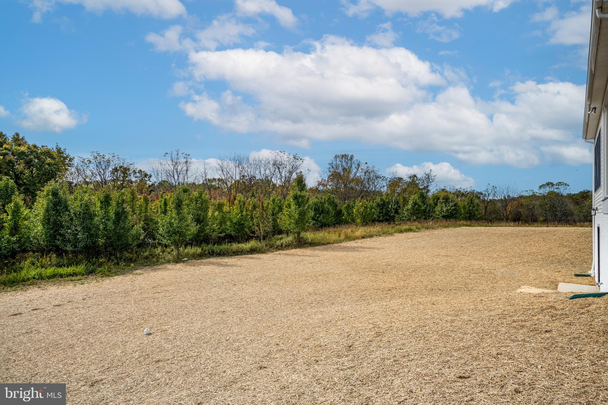 3683 Falling Grn Way Mount Airy, MD 21771 - Photo 50 of 51