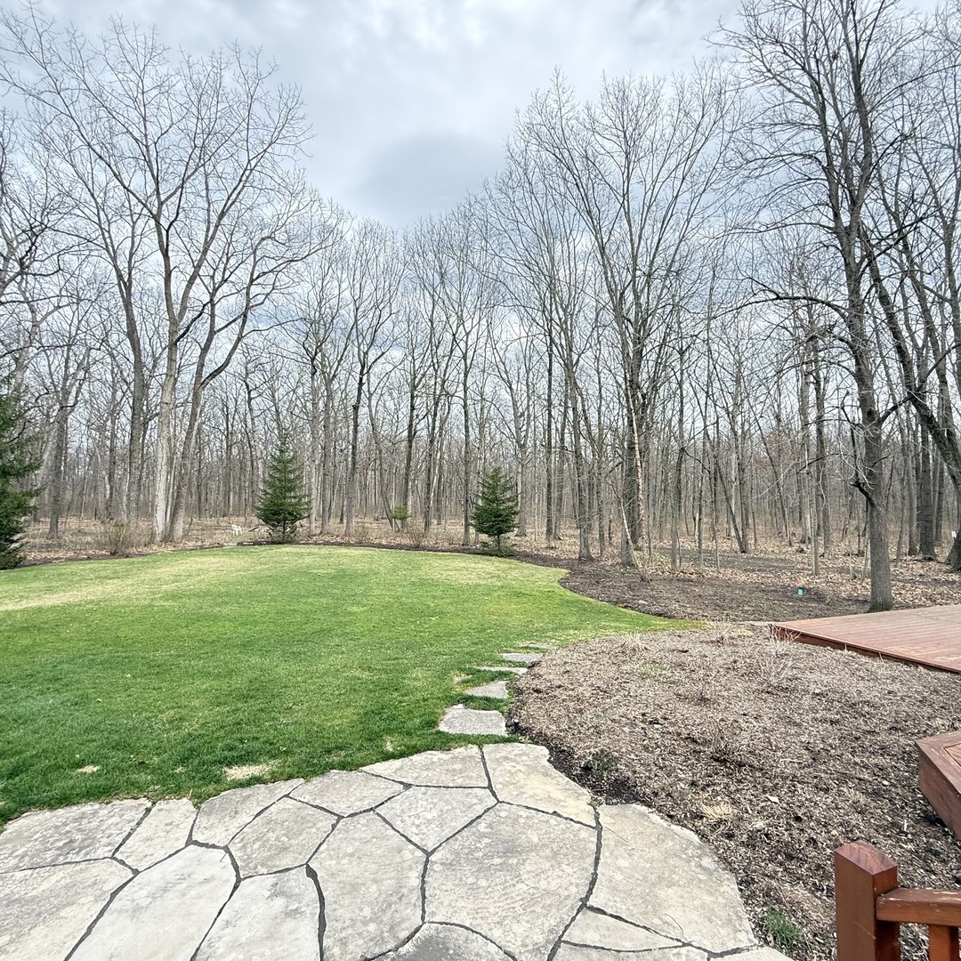 25291 North St Marys Road Libertyville, IL 60048 - Photo 4 of 6 a backyard of a house with lots of green space