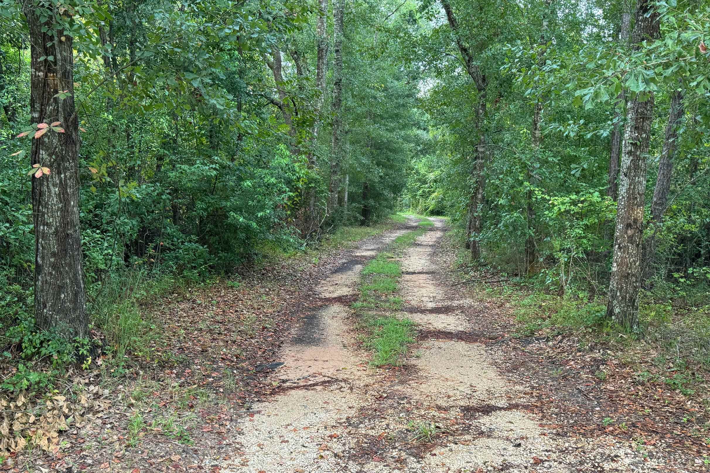 14152 George Younce Road Foley, AL 36535 - Photo 19 of 28