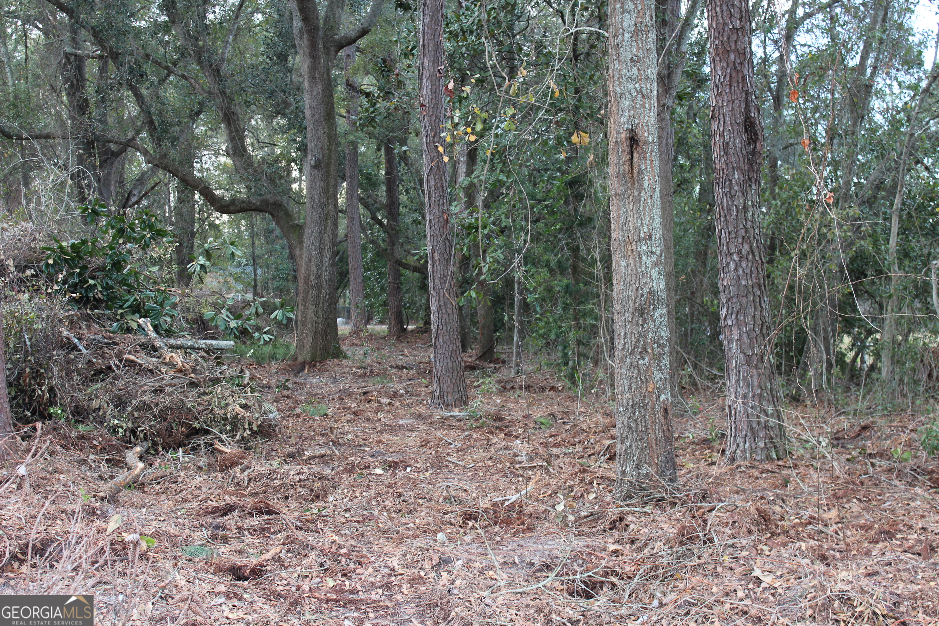 0 Lott Street South Lenox, GA 31637 - Photo 3 of 5