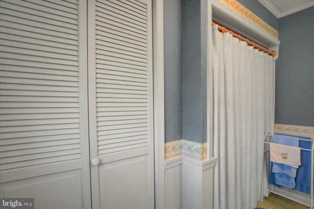 a view of a house with a yard patio and swimming pool