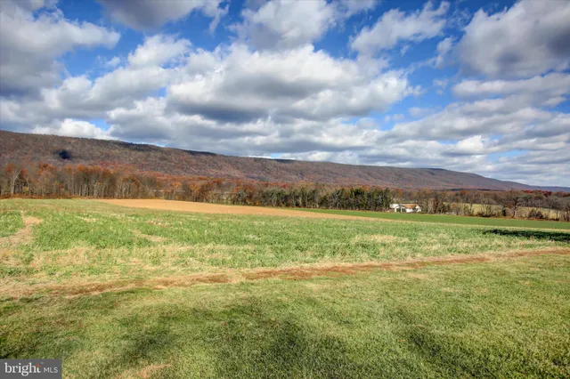 a view of a swimming pool with lounge chairs