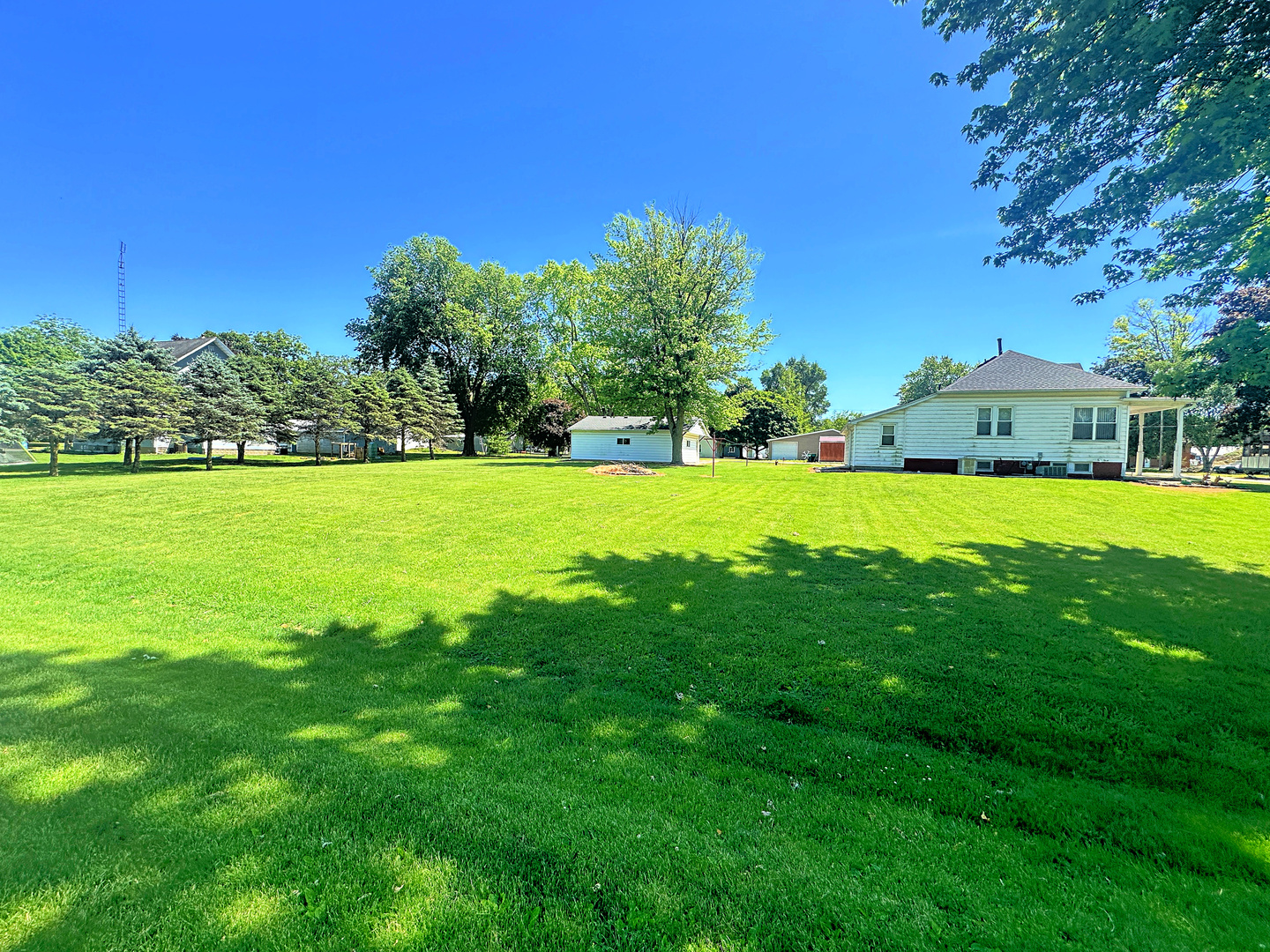 505 Morgan Street Long Point, IL 61333 - Photo 8 of 36 a view of yard with swimming pool and trees in the background