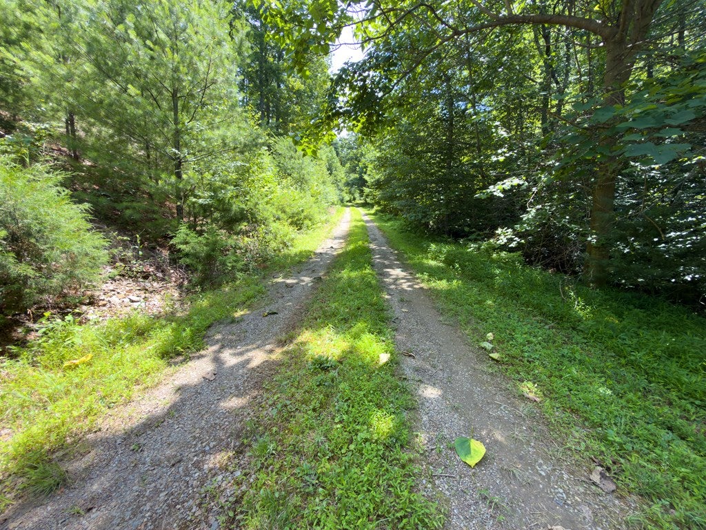 Tbd Tbd Little Vine Road Hillsville, VA 24343 - Photo 17 of 43 Gallery Image 17