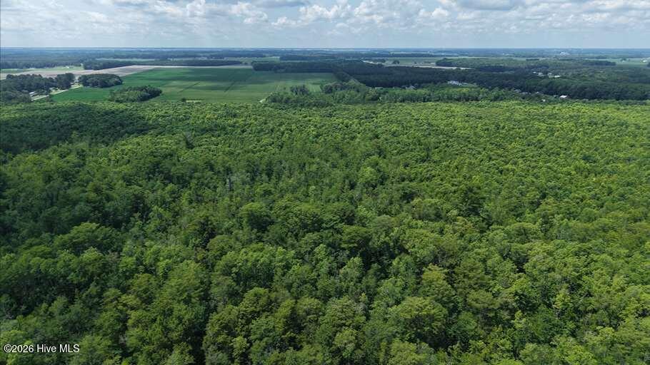 0 North River Road Camden, NC 27921 - Photo 41 of 50