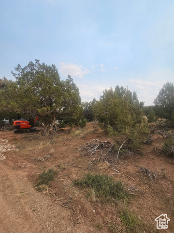 915 South Stagecoach Road, Unit 8 Fruitland, UT 84027 - Photo 32 of 40 Beautiful Property Views - Nice Large Trees!