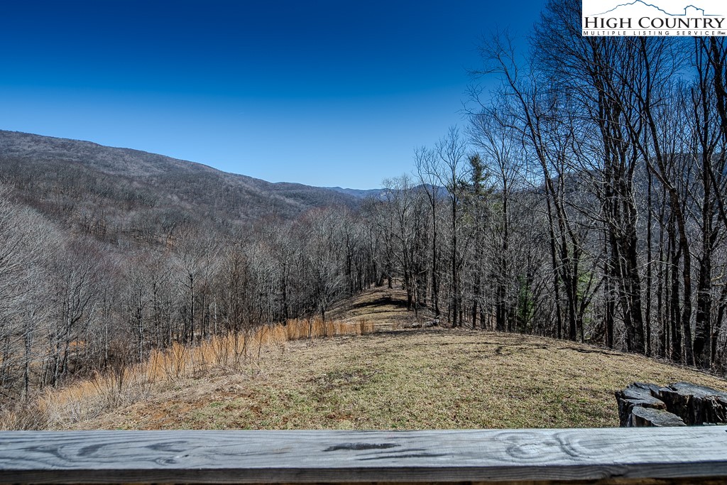 Jerry's Creek Road Newland, NC 28657 - Photo 19 of 49 a view of a yard with large trees