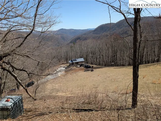 a view of a dry yard