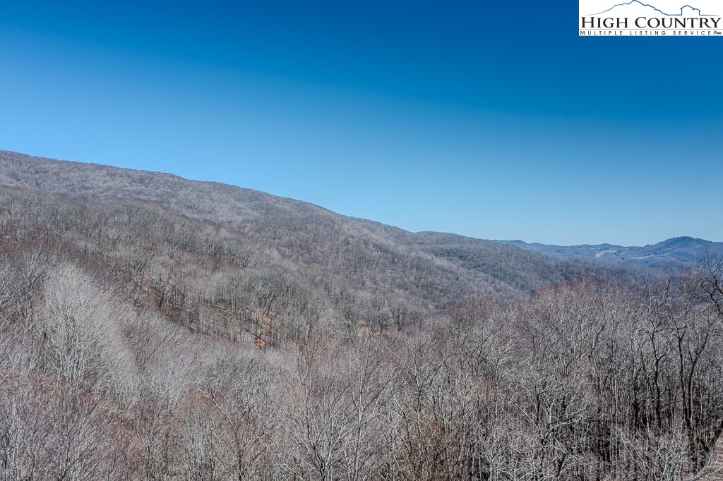 Jerry's Creek Road Newland, NC 28657 - Photo 48 of 49 a view of a dry yard with mountains in the background