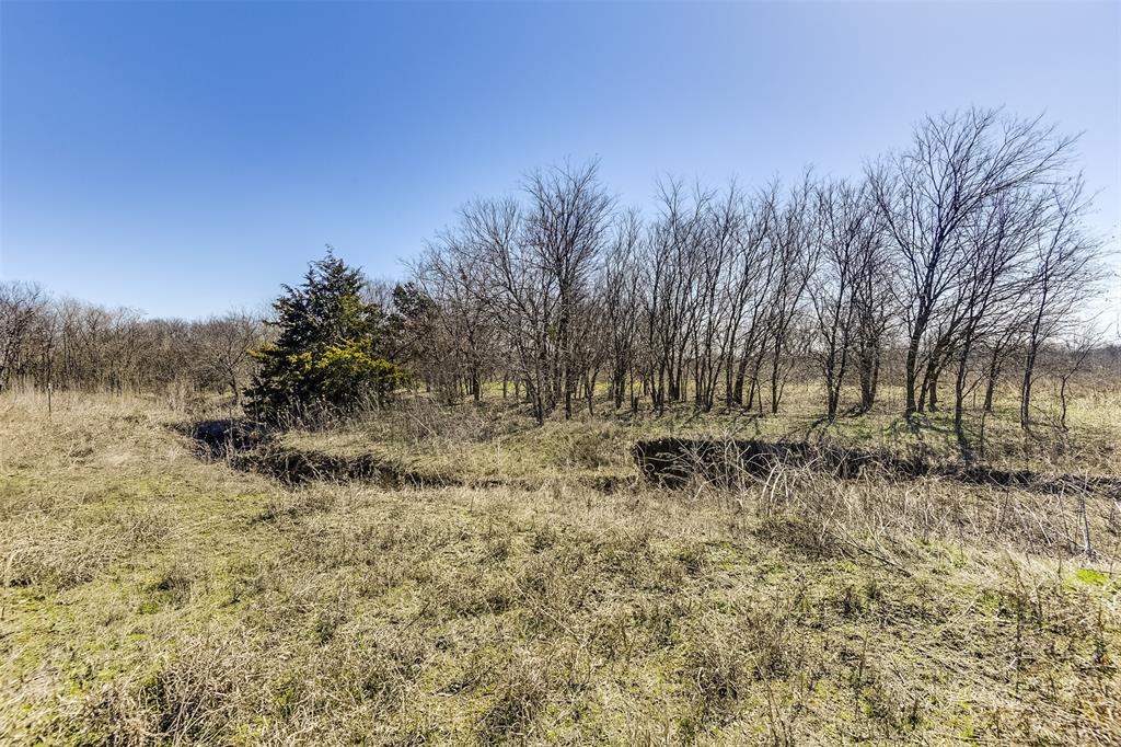 Lot 2-block Ozro Road Maypearl, TX 76064 - Photo 14 of 18 a view of a yard with large trees