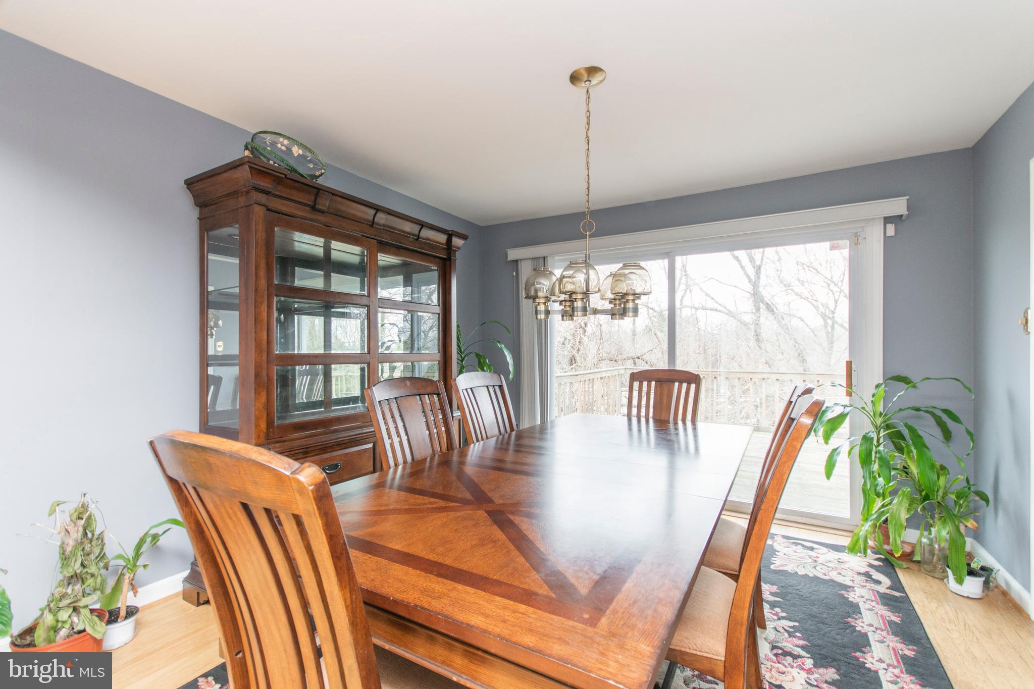 7746 Clements Road Wyncote, PA 19095 - Photo 7 of 34 Gallery Image 7