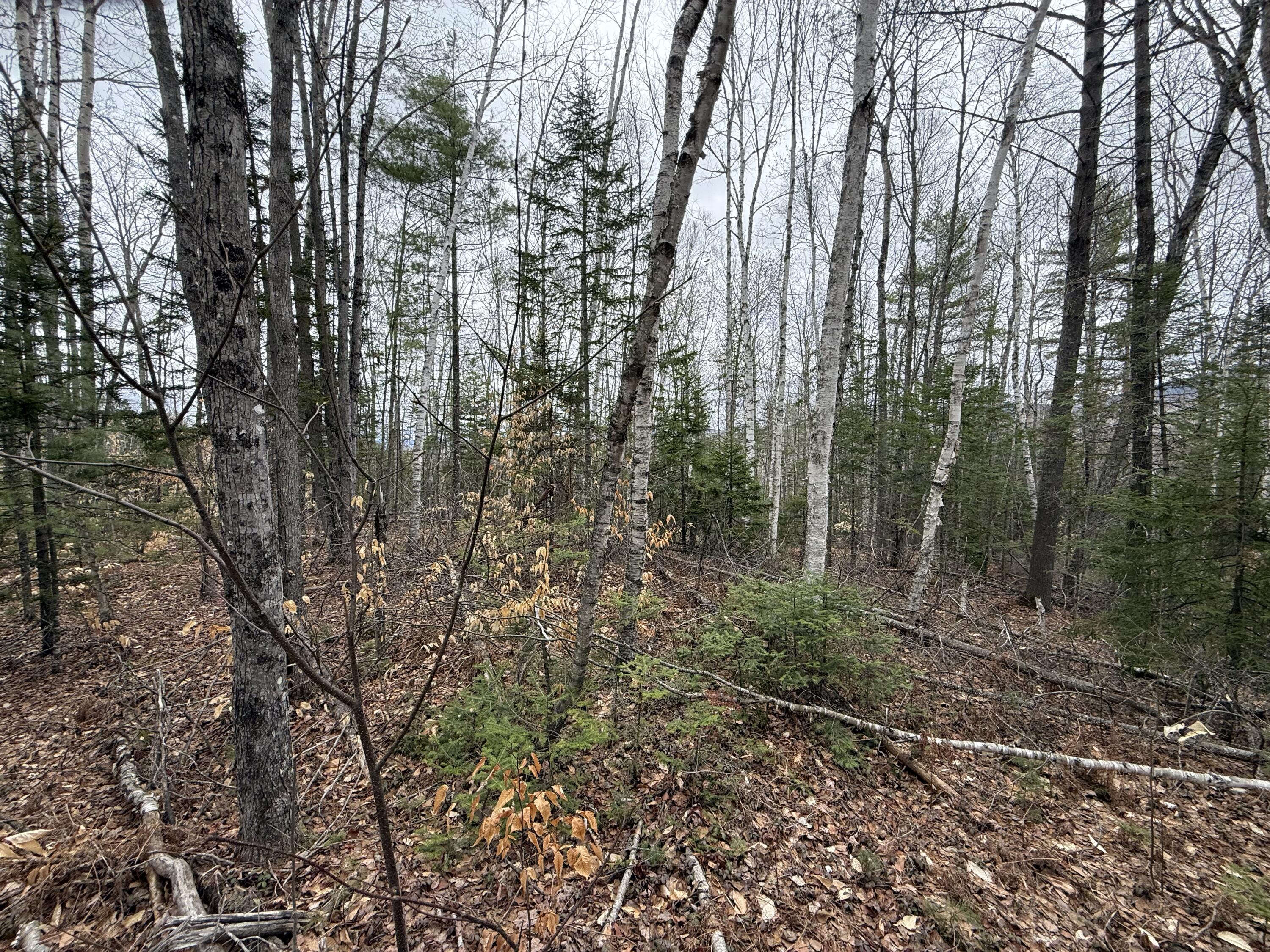 L12 Fuller Road Carthage, ME 04224 - Photo 7 of 10