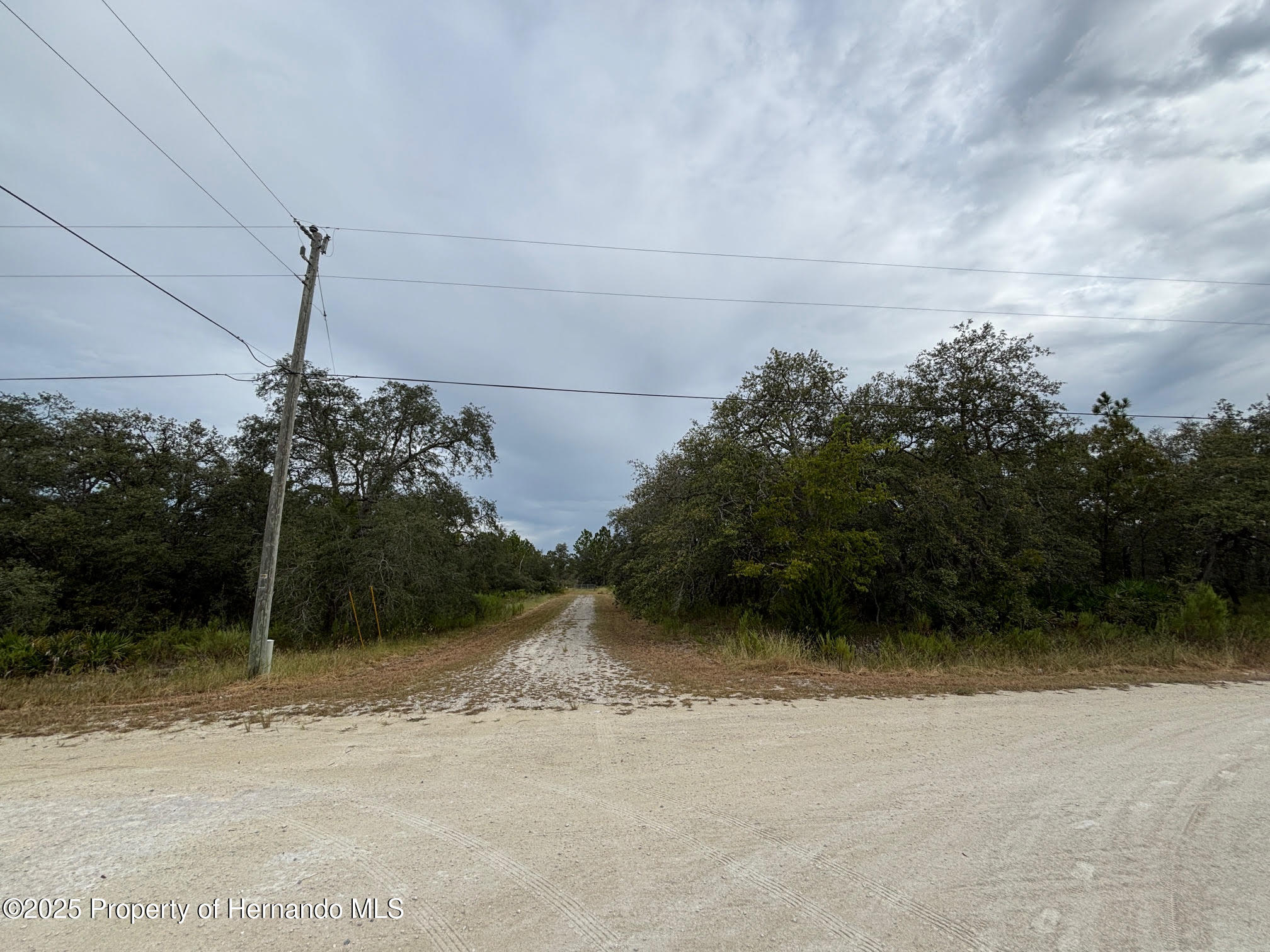 Lot 1 Missouri Skylark Road Weeki Wachee, FL 34614 - Photo 7 of 10