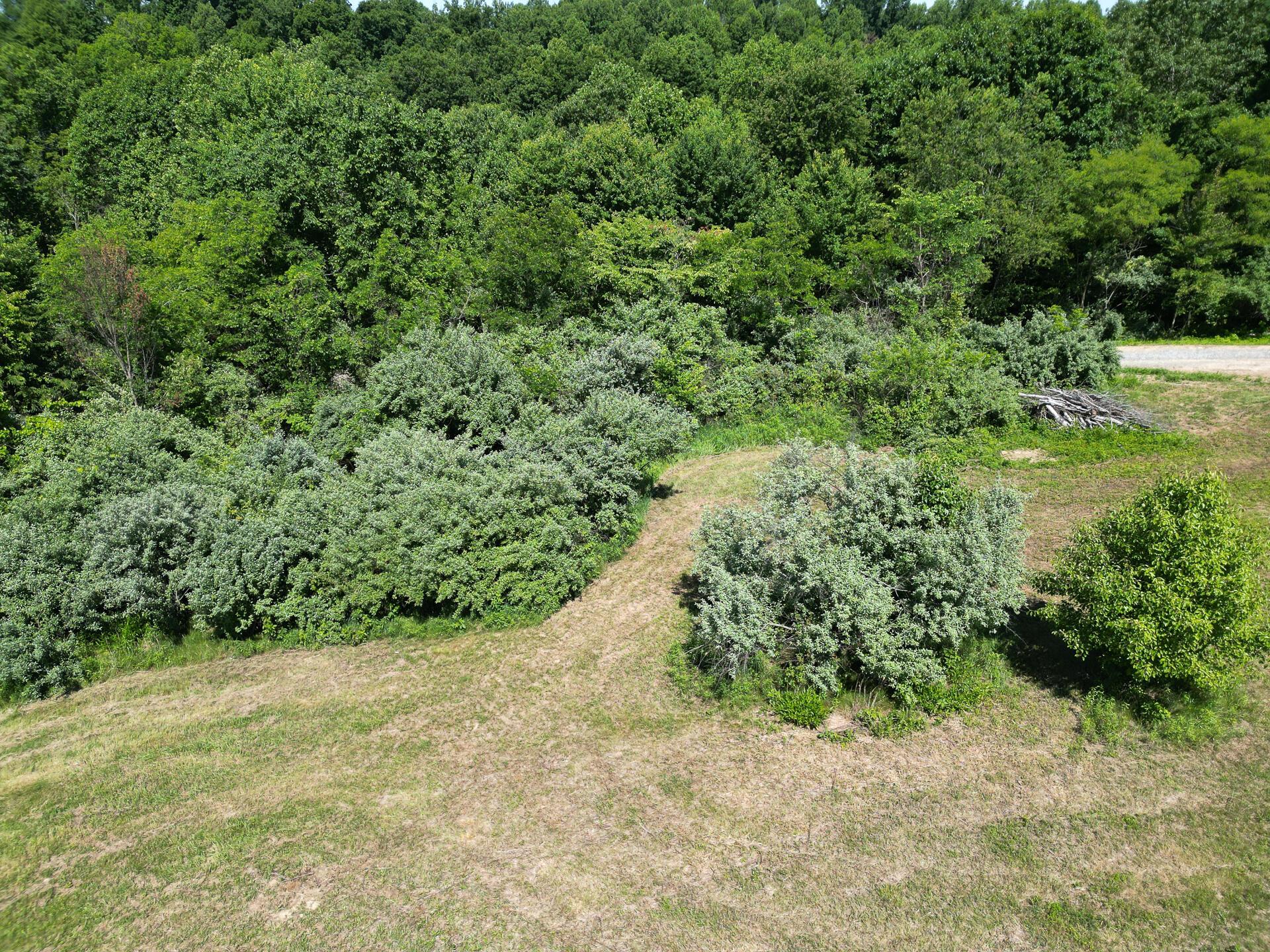 0 681st Road, Unit ALBANY HIDEAWAY TRACT 4) Albany, OH 45710 - Photo 42 of 47