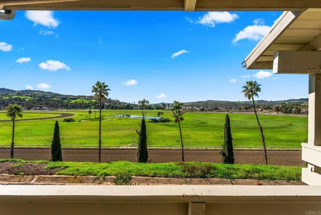 a view of a park with large trees