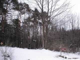 Stebbins Road Sherman, NY 14781 - Photo 1 of 1 Gallery Image 1