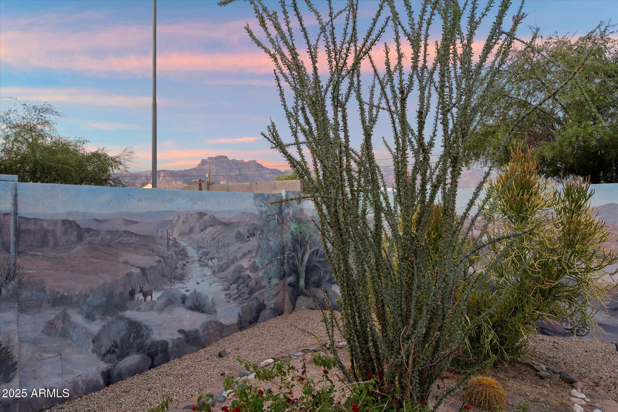 2487 South Conestoga Road Apache Junction, AZ 85119 - Photo 29 of 34 Direct Mountain Views