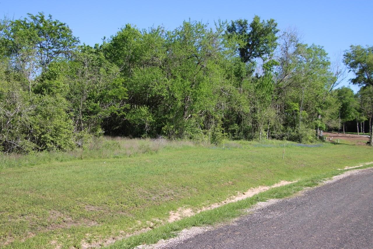Tbd Clear Wds Court North Washington, TX 77880 - Photo 2 of 12 a view of a field with trees in the background