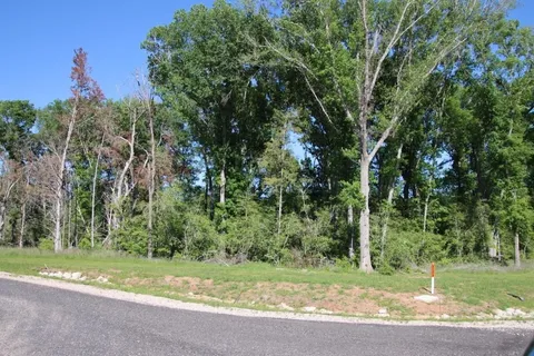 a view of a yard