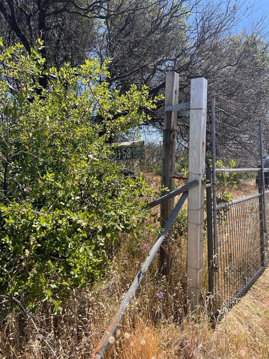 1588 Lumpkin Road Oroville, CA 95966 - Photo 2 of 4 a view of a house with a tree