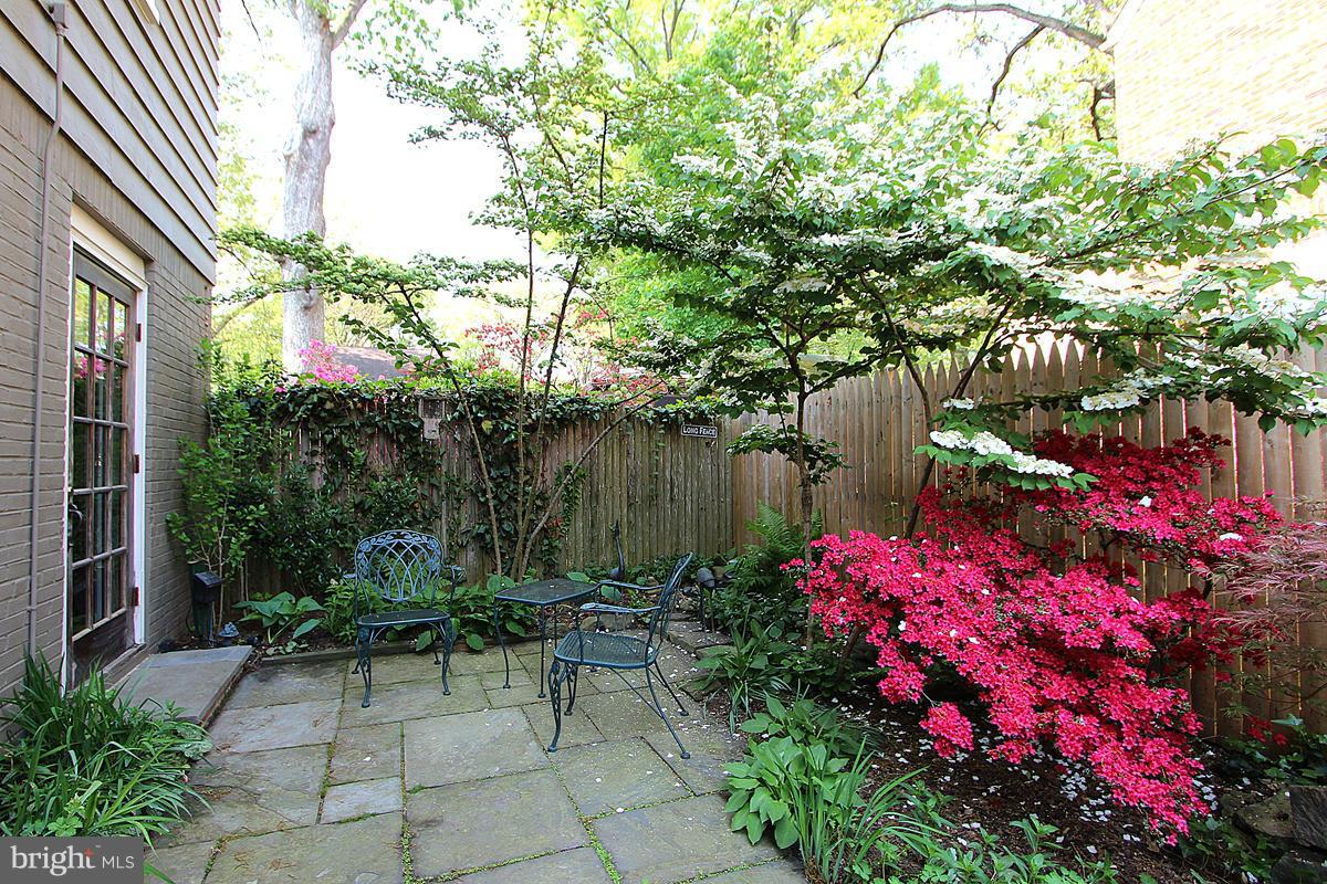 11 Hilltop Road Silver Spring, MD 20910 - Photo 4 of 29 Exterior (Rear)