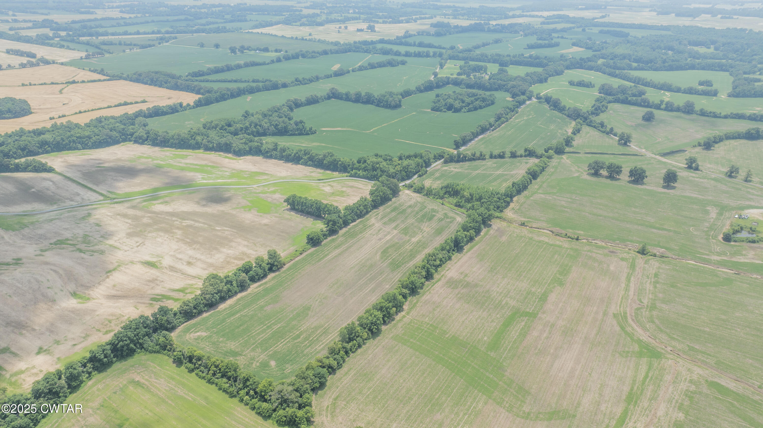 -- Holcomb Road Ripley, TN 38063 - Photo 5 of 8 a view of a yard