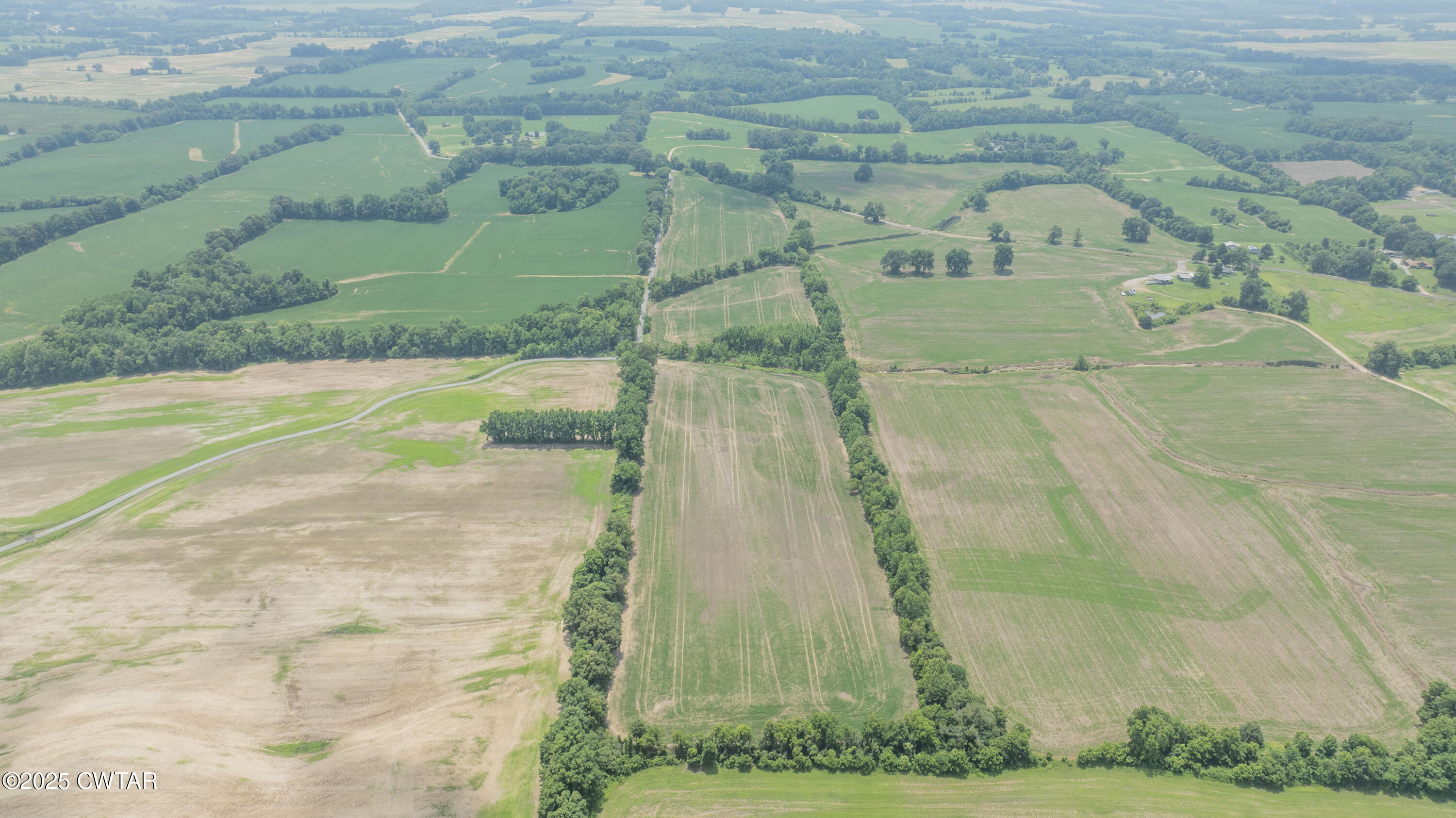 -- Holcomb Road Ripley, TN 38063 - Photo 6 of 8 a view of a yard