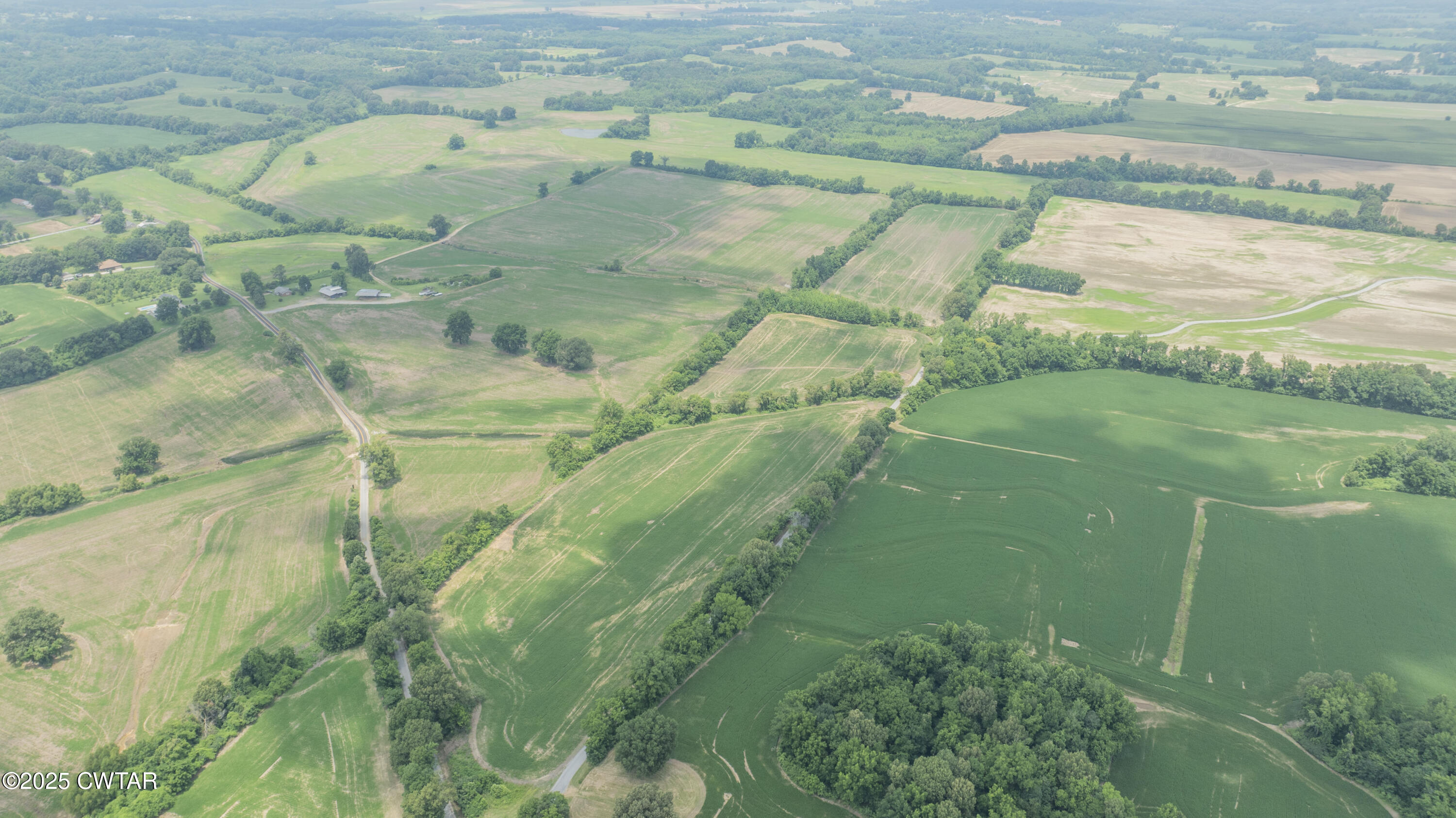 -- Holcomb Road Ripley, TN 38063 - Photo 8 of 8 a view of a pathway both side of river