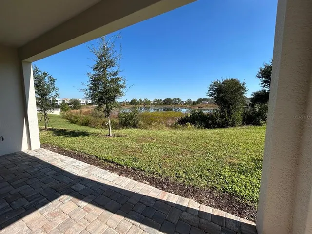 a view of a yard with potted plants