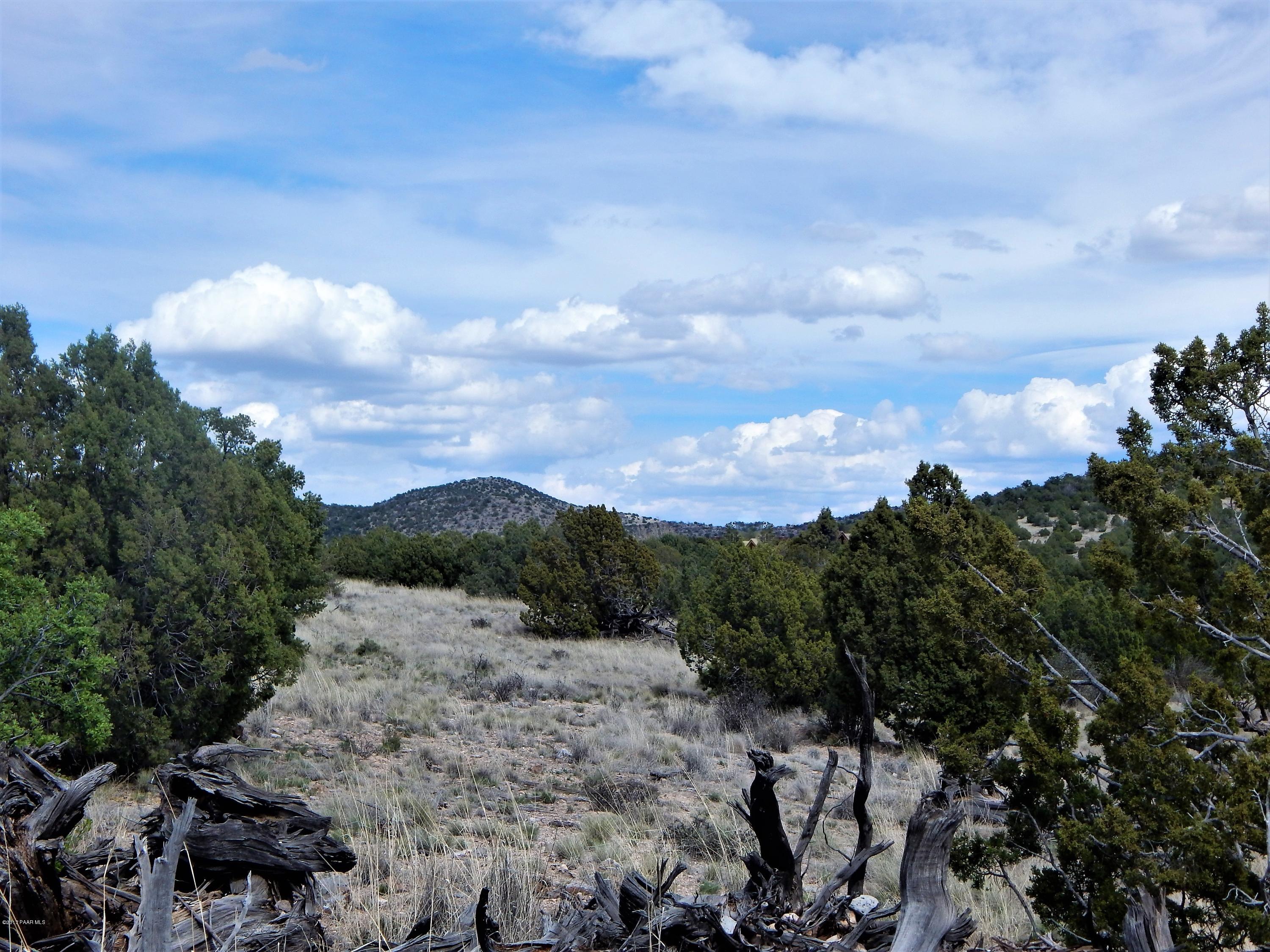 18201 Crossroads Ranch Road Prescott, AZ 86305 - Photo 1 of 14 a view of a bunch of trees in a field