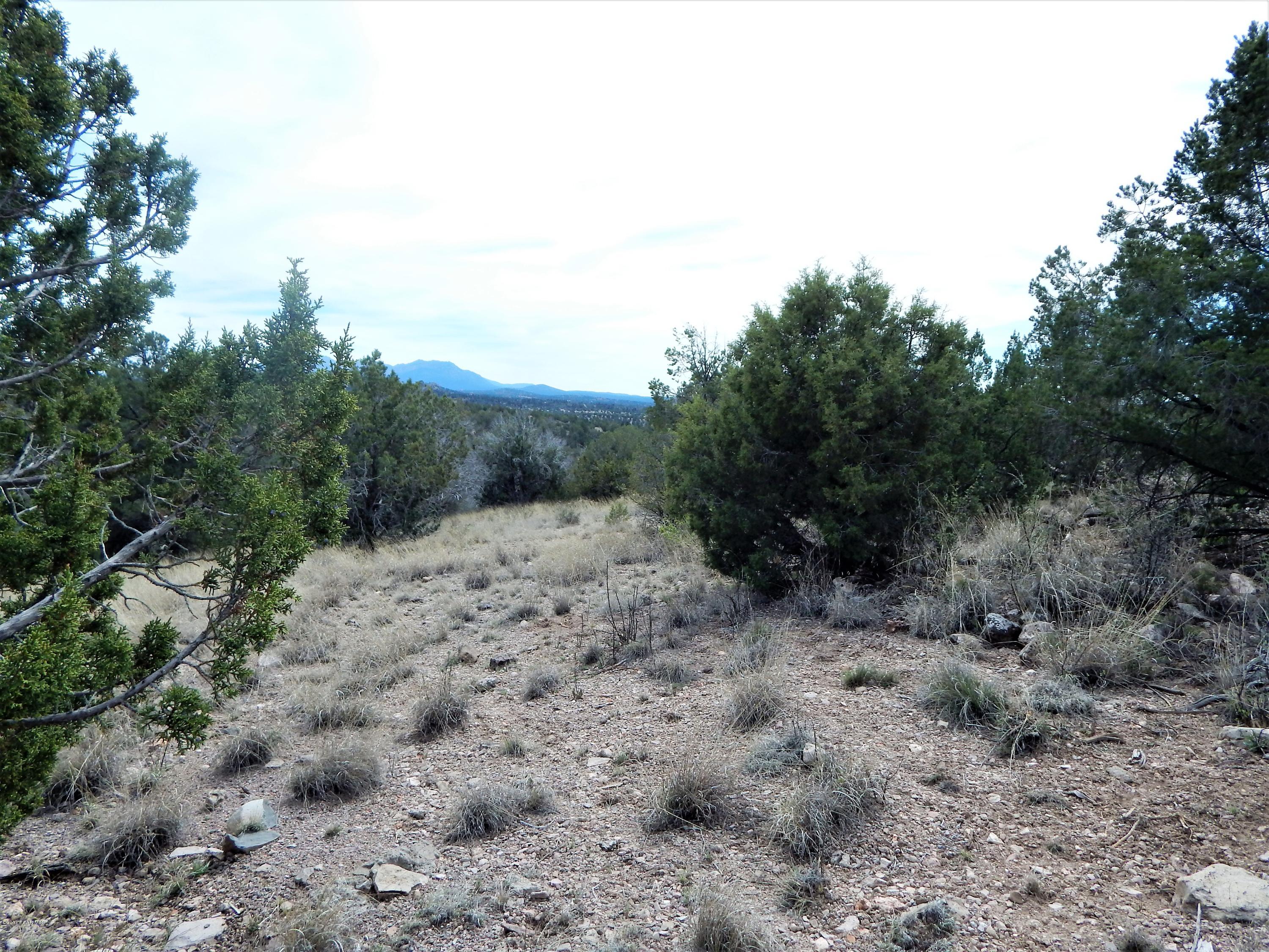 18201 Crossroads Ranch Road Prescott, AZ 86305 - Photo 11 of 14 a view of a covered with trees in the background