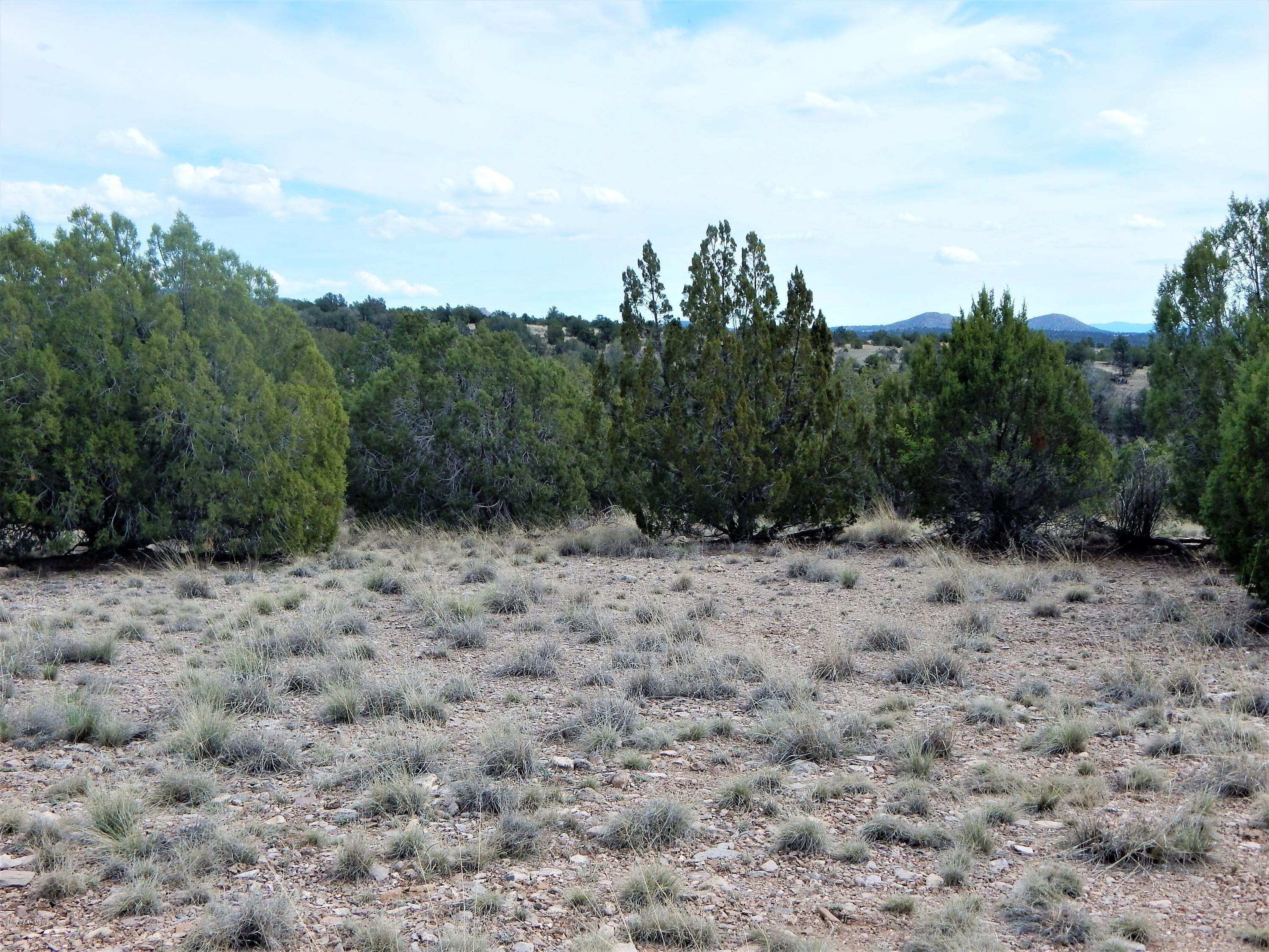 18201 Crossroads Ranch Road Prescott, AZ 86305 - Photo 12 of 14 a view of a covered with trees in the background