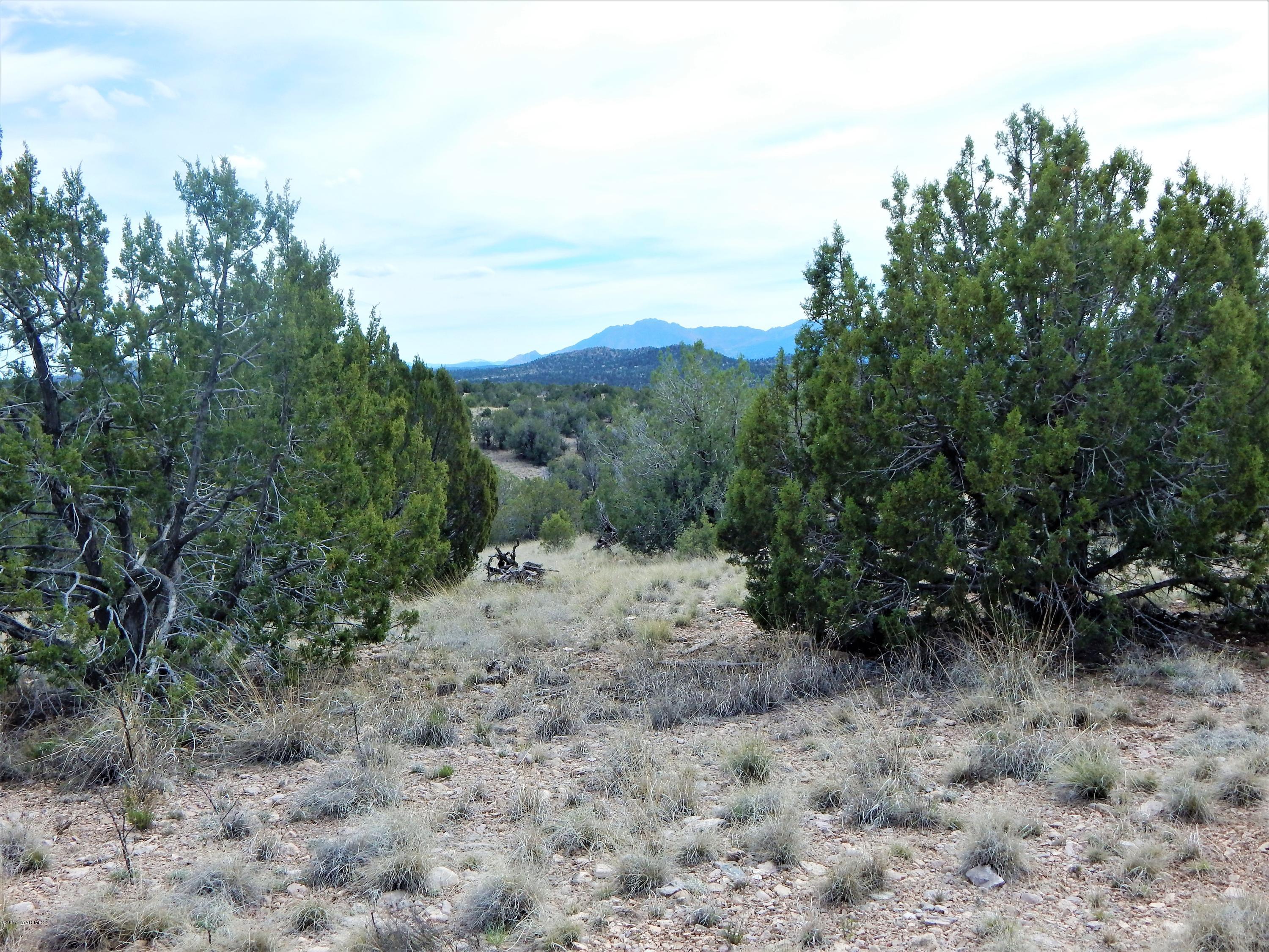18201 Crossroads Ranch Road Prescott, AZ 86305 - Photo 13 of 14 a view of a dry yard with trees in the background
